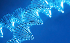 河池ALK基因檢測去哪做、有哪