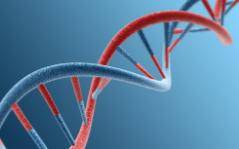 廣元HER2檢測費(fèi)用多少？9家專業(yè)機(jī)構(gòu)推薦及流程詳解