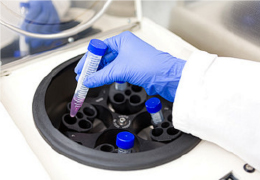 靠譜！東莞市15家優(yōu)質親子鑒定機構匯總（附2026年地址信息）